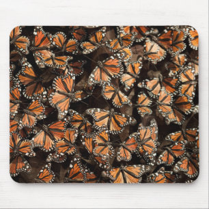 Monarch Butterflies Mouse Mat