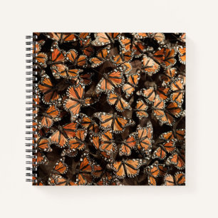 Monarch Butterflies Notebook