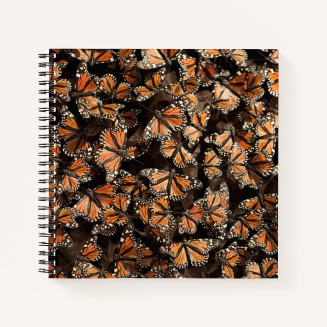 Monarch Butterflies Notebook (Front)