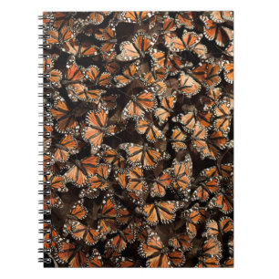 Monarch Butterflies Notebook