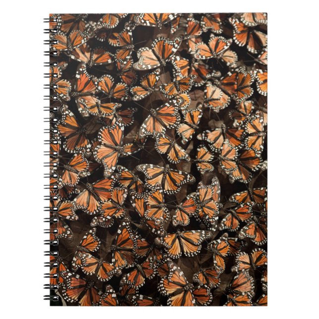 Monarch Butterflies Notebook (Front)