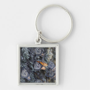 Monarch Butterflies on Pine Tree, Sierra Chincua 2 Key Ring
