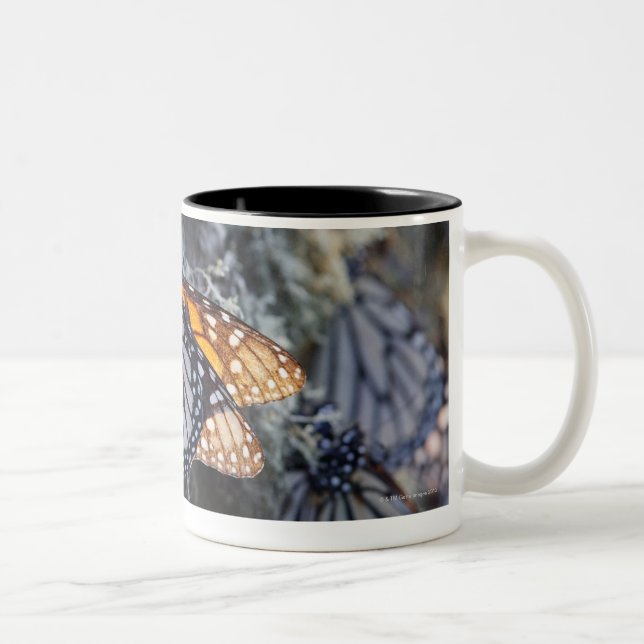 Monarch Butterflies on Pine Tree, Sierra Chincua 2 Two-Tone Coffee Mug (Right)
