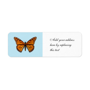 Monarch Butterfly