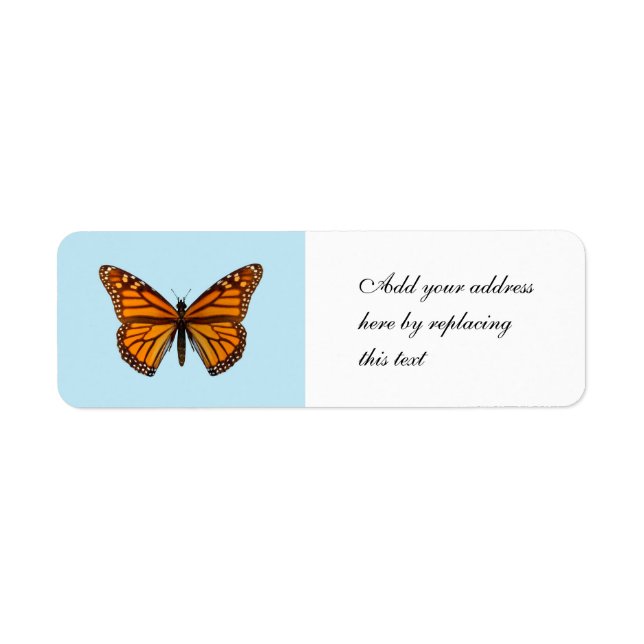 Monarch Butterfly (Front)