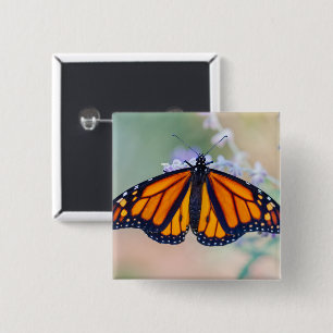 Monarch Butterfly 15 Cm Square Badge