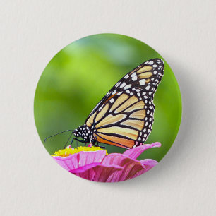 Monarch Butterfly 6 Cm Round Badge
