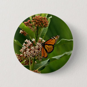 Monarch Butterfly 6 Cm Round Badge