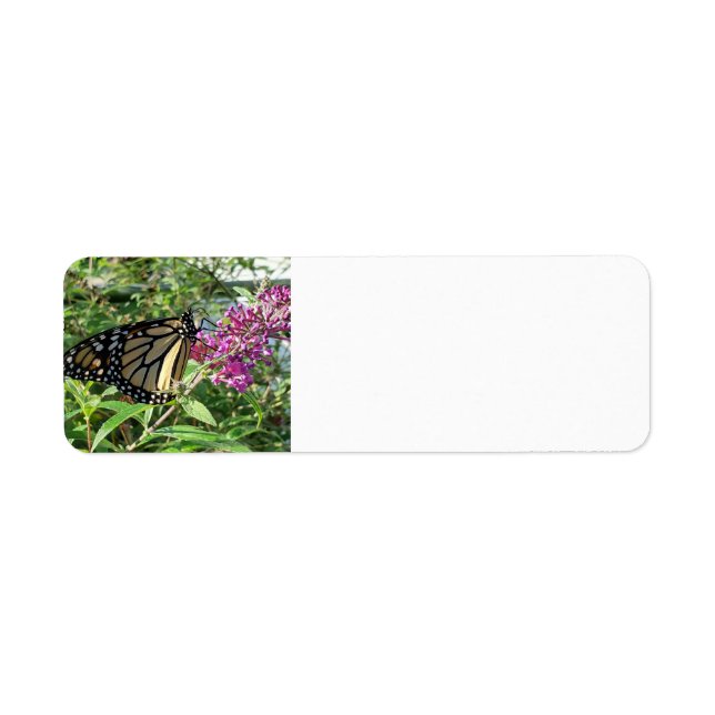 Monarch Butterfly address label (Front)