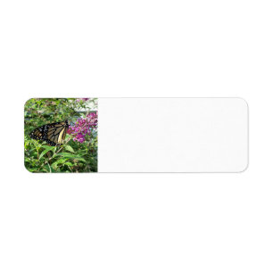 Monarch Butterfly address labels