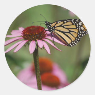 Monarch Butterfly and Black Eyed Susan Classic Round Sticker
