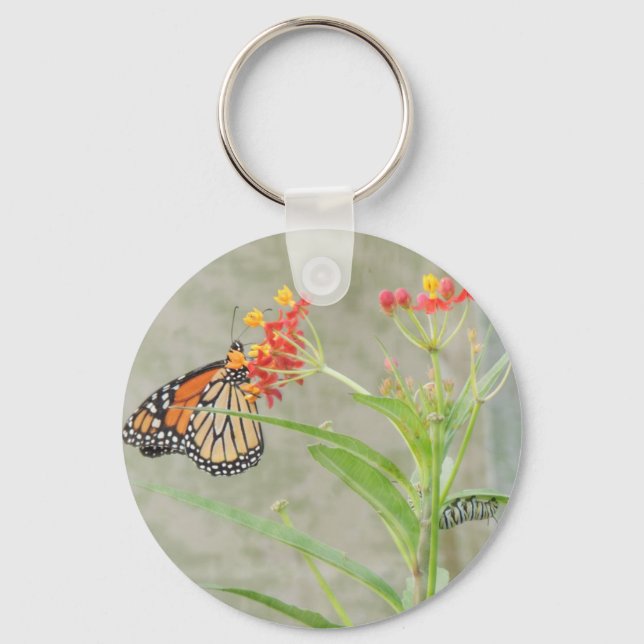 Monarch Butterfly and Caterpillar Key Ring (Front)