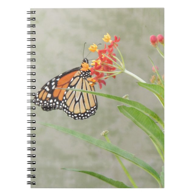Monarch Butterfly and Caterpillar Notebook (Front)