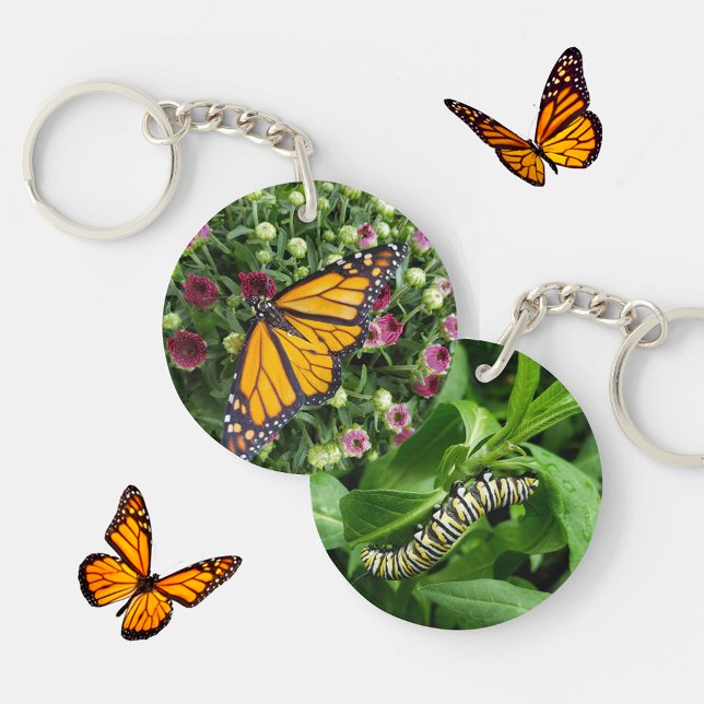 Monarch Butterfly and Caterpillar Photographic Key Ring (Creator Uploaded)