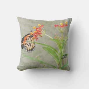 Monarch Butterfly and Caterpillar Pillow