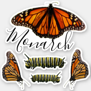 Monarch Butterfly and Caterpillar Set