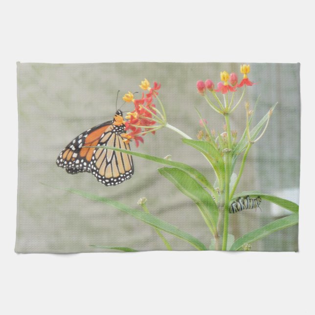 Monarch Butterfly and Caterpillar Tea Towel (Horizontal)