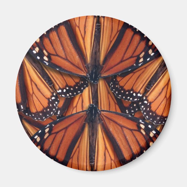 monarch butterfly art magnet (Front)