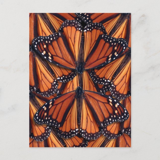 monarch butterfly art post card (Front)