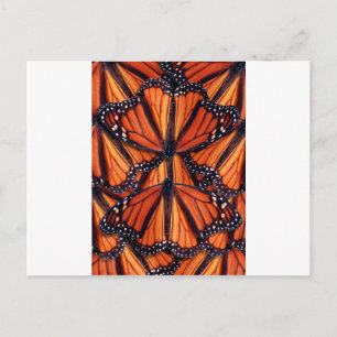 monarch butterfly art postcard