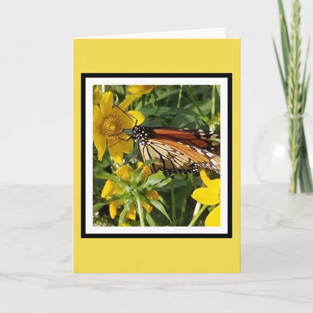 MONARCH BUTTERFLY - BIRTHDAY CARD (Front)