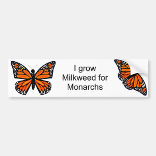 Monarch Butterfly Bumper Sticker