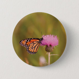 Monarch Butterfly Button