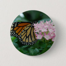 Monarch Butterfly Button Pin