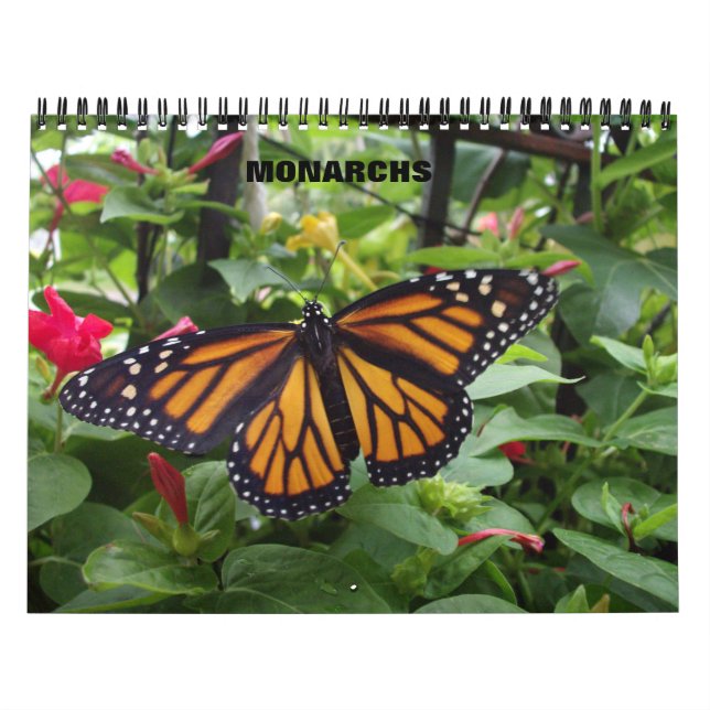 Monarch Butterfly Calendar (Cover)