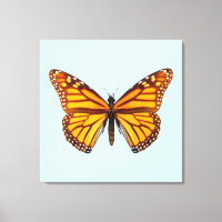 Monarch Butterfly