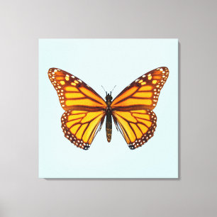 Monarch Butterfly Canvas Print