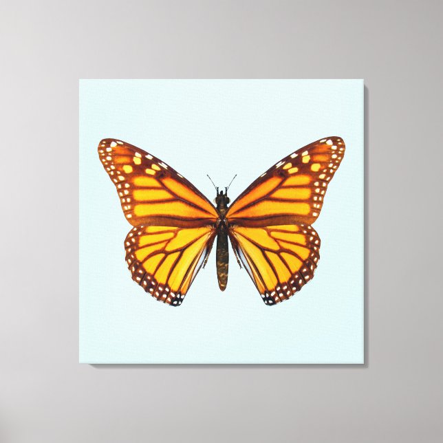 Monarch Butterfly Canvas Print (Front)