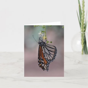 Monarch Butterfly Card