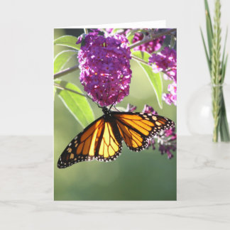Monarch Butterfly Card