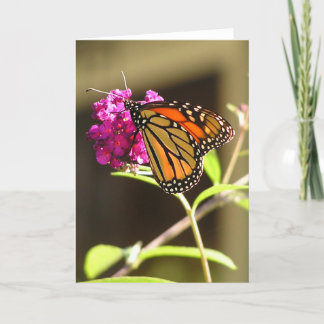 Monarch butterfly card