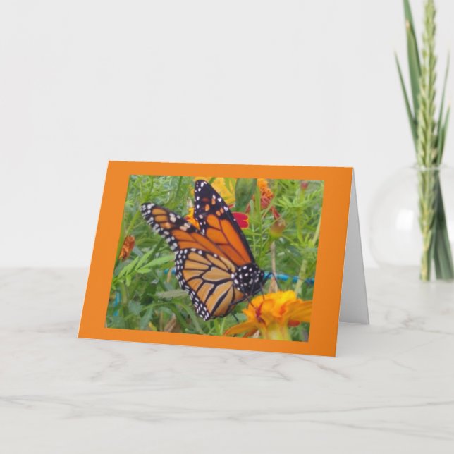 Monarch Butterfly Card (Front)