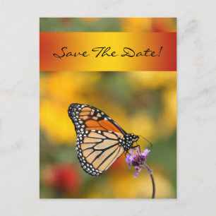 Monarch Butterfly Card