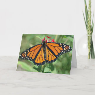 Monarch Butterfly Card