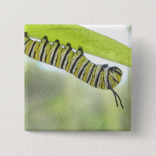 Monarch Butterfly Caterpillar Exploring A Milkweed 15 Cm Square Badge