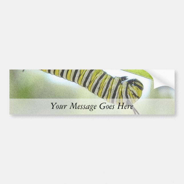 Monarch Butterfly Caterpillar Exploring A Milkweed Bumper Sticker (Front)