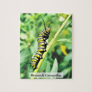 Monarch Butterfly Caterpillar Feeding 110 Pcs Jigsaw Puzzle