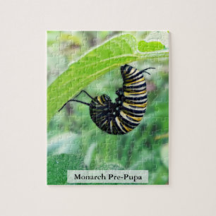Monarch Butterfly Caterpillar Pre-Pupa 110 Pcs Jigsaw Puzzle