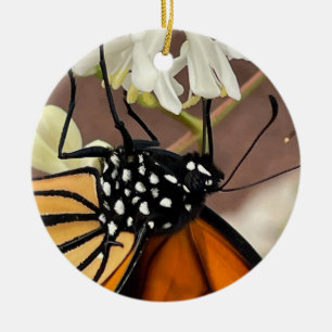 Monarch Butterfly Ceramic Tree Decoration
