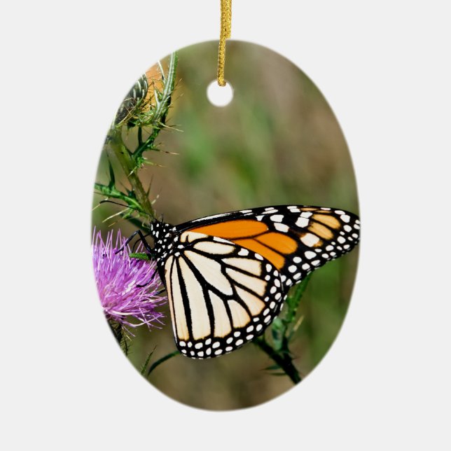 Monarch Butterfly Ceramic Tree Decoration (Front)