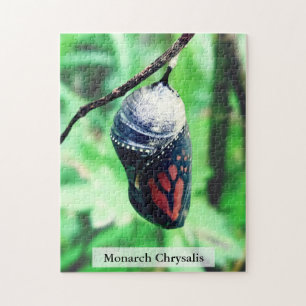 Monarch Butterfly Chrysalis Before Hatching 252Pcs Jigsaw Puzzle