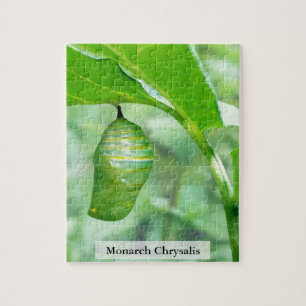 Monarch Butterfly Chrysalis Hardening Stage 110Pcs Jigsaw Puzzle
