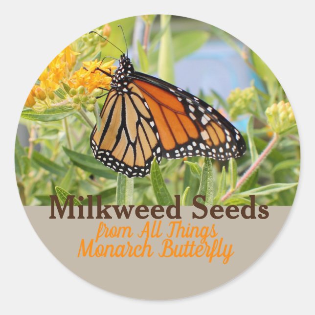 Monarch butterfly classic round sticker (Front)