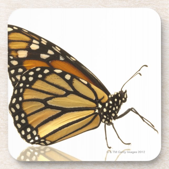 Monarch butterfly coaster (Front)