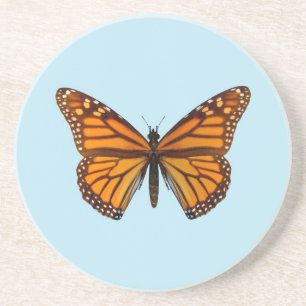 Monarch Butterfly Coaster