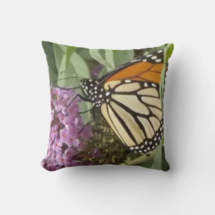 Monarch Butterfly Cushion
